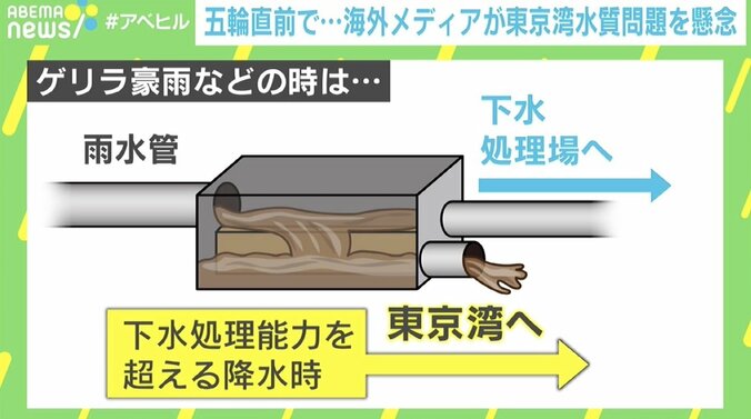 五輪直前、東京湾の“水質問題”に専門家「他人事じゃないと認識して」海外メディアも懸念 4枚目