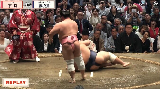 「なんだこのちいかわは」「ドヤ歩き最高」覚醒した宇良、藤凌駕を豪快にぶん投げる「決めた後の足がセクシーすぎw」自信満々リアクションにファン大興奮 4枚目