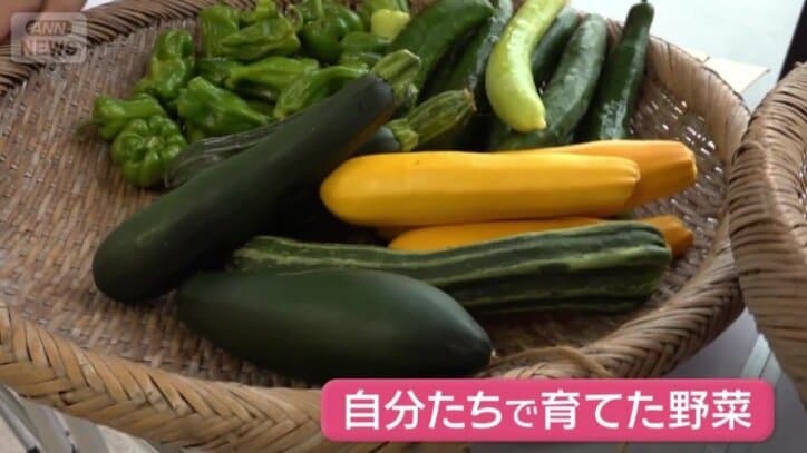 自分たちで育てた野菜