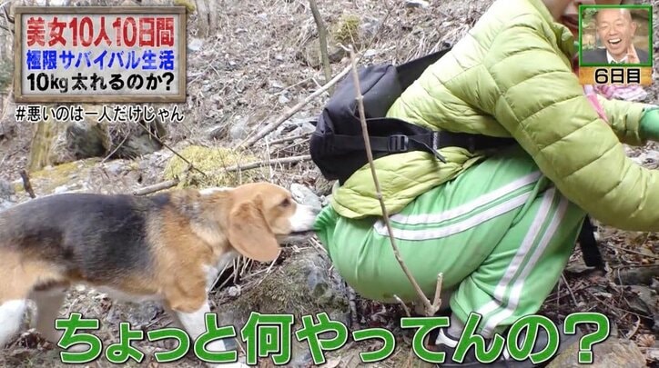 サバイバル中、犬にズボンを脱がされ…？　彼氏いない歴＝年齢の女性タレントに質問殺到！