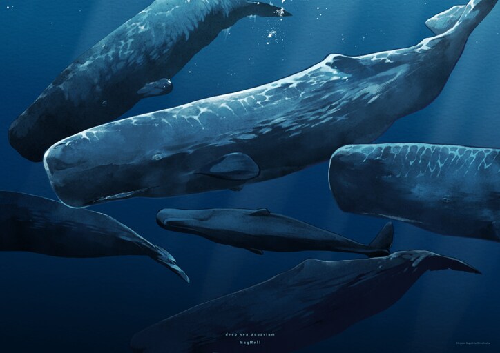 [Photos/Images] "Deep Sea Aquarium MagMell" Latest Volume 10 Released! Exploring the Charm of the Deep Sea, Earth's Last Unexplored Frontier, Gaining Persistent Popularity Among All Ages 3rd