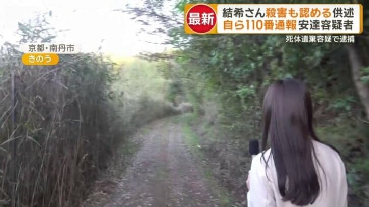 途中から高い木々が両側に生えている