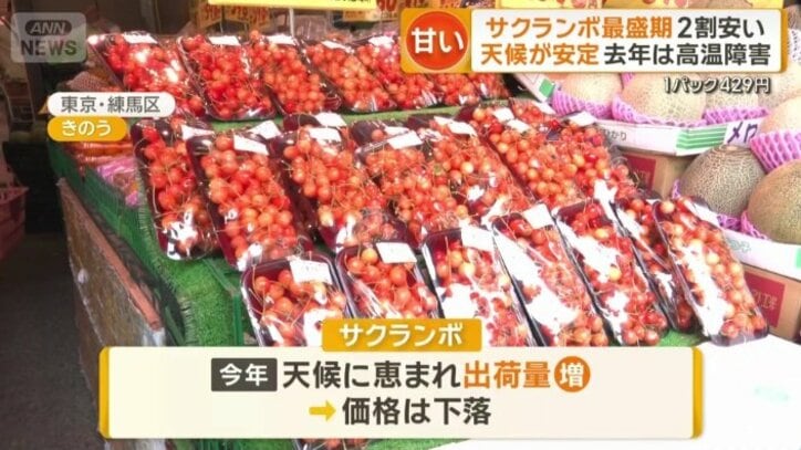 都内のスーパーで「佐藤錦」が2割安に