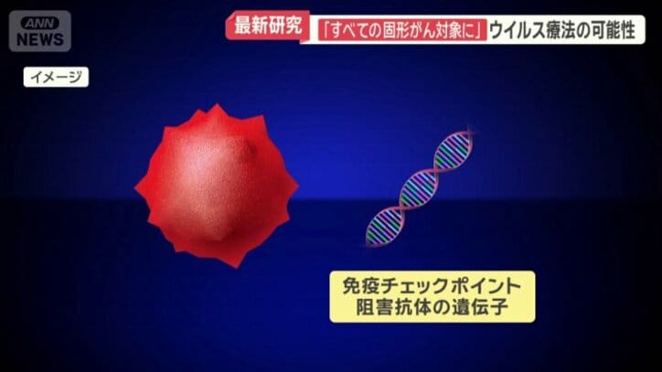 免疫チェックポイント阻害抗体の遺伝子が組み込まれた新たなウイルス