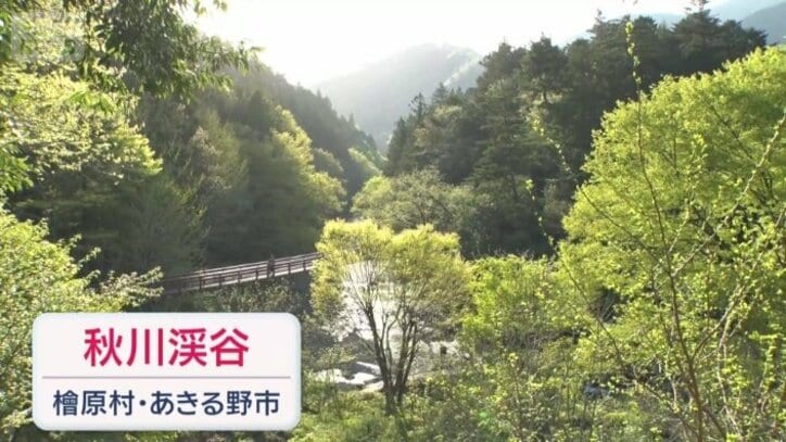 秋川渓谷