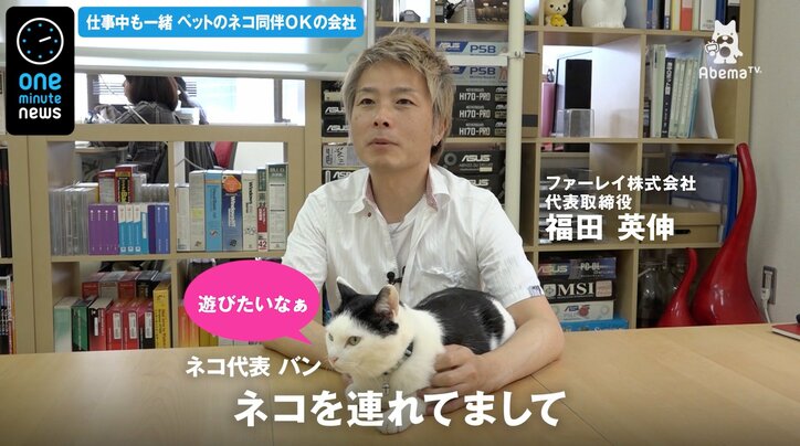 猫同伴OKの会社 代表「猫好きの優秀な方が来てくれる」  その他 