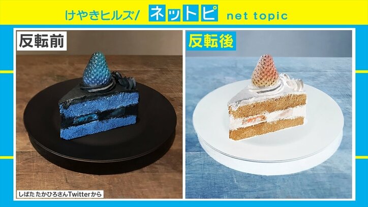 色を反転させるとショートケーキに!? 衝撃的なビジュアルの“映えすぎるケーキ”がSNSで話題