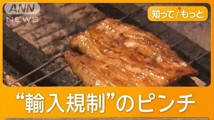 加工品を含むすべてのウナギ EUがワシントン条約で輸入規制案を提案準備