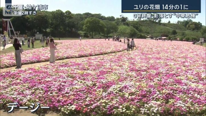 東京ドイツ村