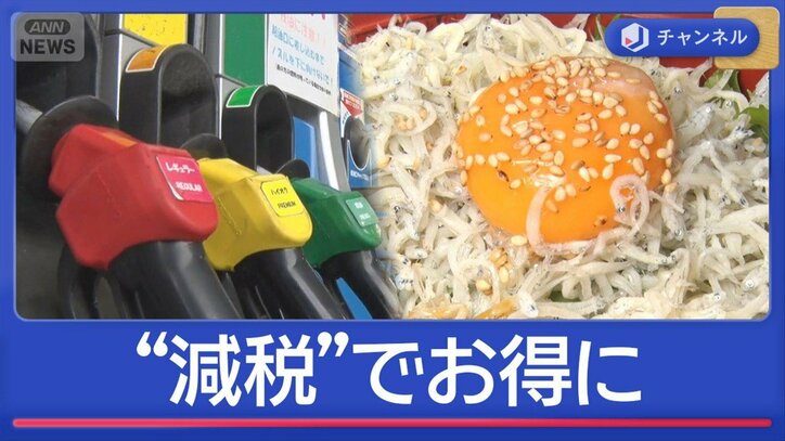 1リットル5円値下げ＆旬のシラス丼も　ガソリン”減税”どれだけお得？