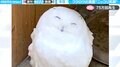 “ギャップ萌え”すぎるフクロウの超満面笑顔…普段の鋭い眼光と落差激すぎな岩手サファリパークの人気者