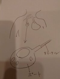 秋野暢子『CVポートを入れました』