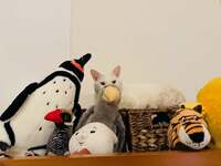 坂上忍『リョーマQUIZ?』