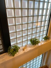 堀ちえみ『同じお墓に入りたいから』