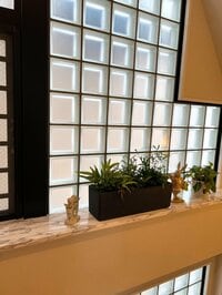 堀ちえみ『親もとからから巣立って次のステージで変わりゆく』