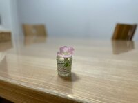 大渕愛子『長男の大変さ…』