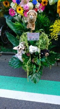 鈴木おさむ　「ちゃんこ屋」5周年、オープンのきっかけは東日本大震災だった