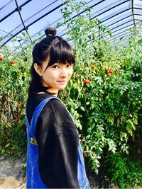 芳根京子『トマト。』