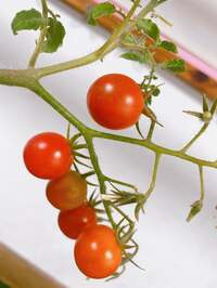 熊田曜子『個人面談』