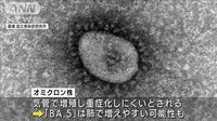 「BA.5」肺で増殖か…病原性も高い可能性 東大医科研