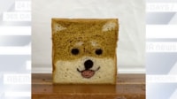【映像】食パンから"柴犬の顔"が現れる様子