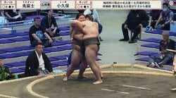「控え力士の表情w」土俵下、カメラが捉えてしまった“オモシロ”光景 「面白すぎるだろ」「愛されキャラ」ファンほっこり