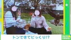 バッチリカメラ目線！写真に映り込んだ“珍客”が話題 撮影者「もともと近くを飛んでいた」