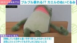 「なぜか元気が出る」激しく暴れるカエルのぬいぐるみが話題 想定外の動きに「めちゃくちゃ笑ってしまった」「ゲームのバグみたいな動き」など反響