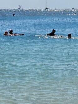  小原正子、ハワイ滞在の最後の日に家族で訪れた場所「やっぱり、行かなきゃ！」 