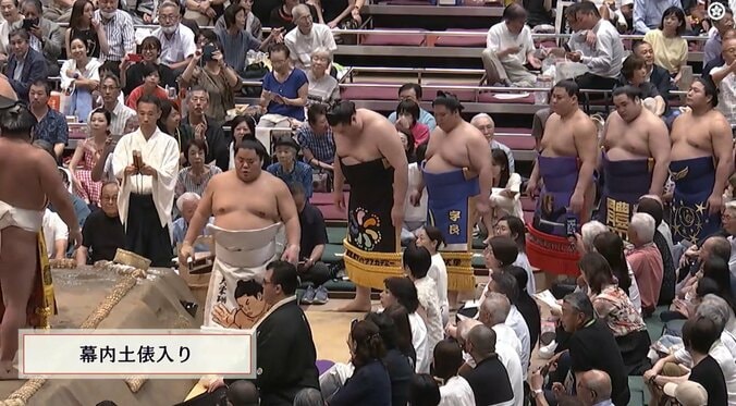 大栄翔にそっくりの化粧まわし