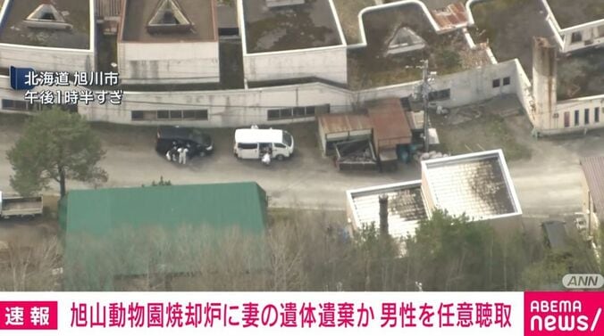 旭山動物園の様子