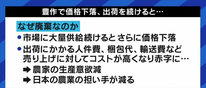 「さらに価格が下がれば廃棄せざるを得ない」コロナ禍・原油高に見舞われるネギ農家が切実な訴え 3枚目