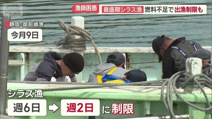 燃料不足でシラス漁をやむなく週2日に制限
