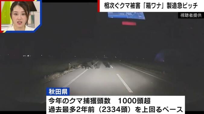 夜道を走り回る3頭のクマ