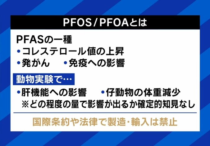 【写真・画像】　3枚目