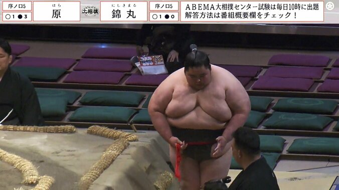 序ノ口五枚目・錦丸（朝日山）