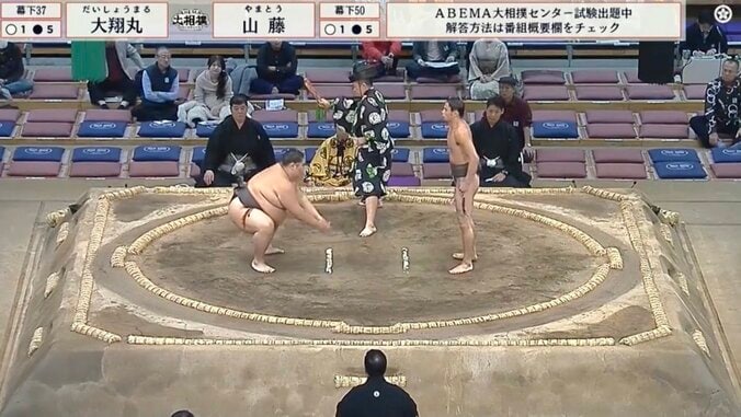 体が薄い…72キロ力士“衝撃の細さ”