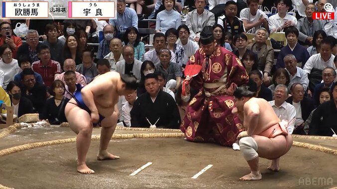【写真・画像】　1枚目