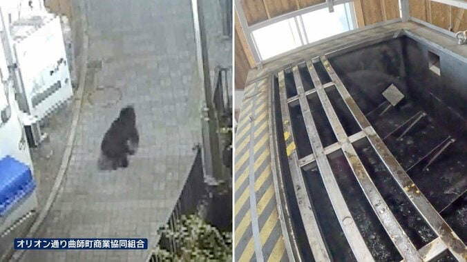 今年も全国各地でクマ出没　駆除後にも問題　北海道でハンターの負担軽減する施設 1枚目