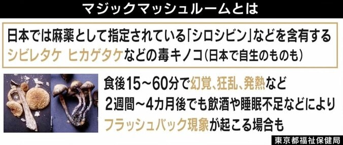 「いい幻覚で自分の考え方を変えるような何かがあるかも」豪政府が