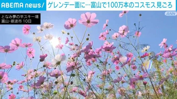 となみ夢の平スキー場