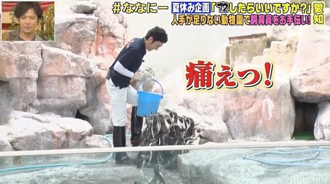 草なぎ剛、ペンギンの餌やり手伝うも“猛攻撃”に悲鳴「みんなで来られると怖かった」 1枚目