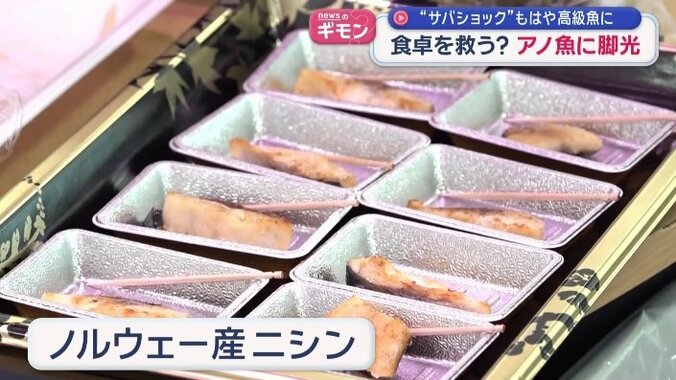 ノルウェー産ニシン