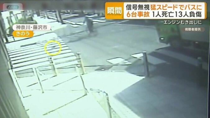 道路から何かが転がってきている