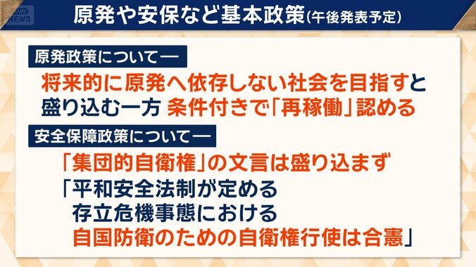 原発や安保など基本政策