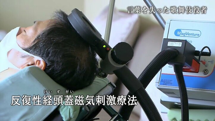 「やっぱりもう一回、歌舞伎やりたい」脳出血に倒れ言葉を失った九代目中村福助と家族の8年