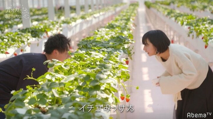 「俺が守る」2人きりのダンスレッスンで…ほぼ告白!?可愛すぎる2人にスタジオ陣も大興奮!『白雪とオオカミくん』第10話