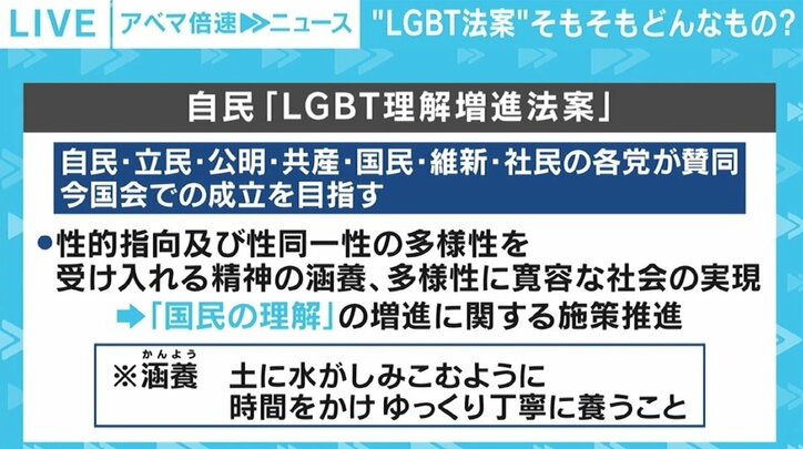 LGBT理解増進法案、政調審議会で“異例”の紛糾 今国会での成立は見通せず