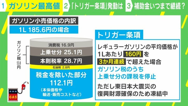 「トリガー条項を発動、さらに消費税も下げるべし」経済アナリストが告げる家計を救済する方法