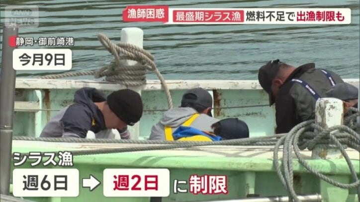 燃料不足でシラス漁をやむなく週2日に制限
